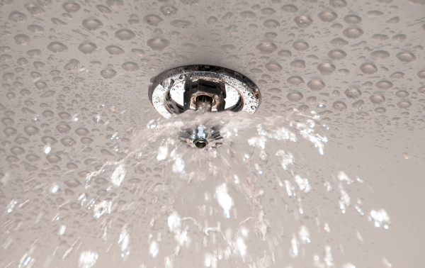 Domestic Sprinkler System Servicing